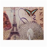 White Peacock Paris Eiffel Tower Vintage Bird Butterfly French Botanical Art Glasses Cloth (Small, Two Sided) Front