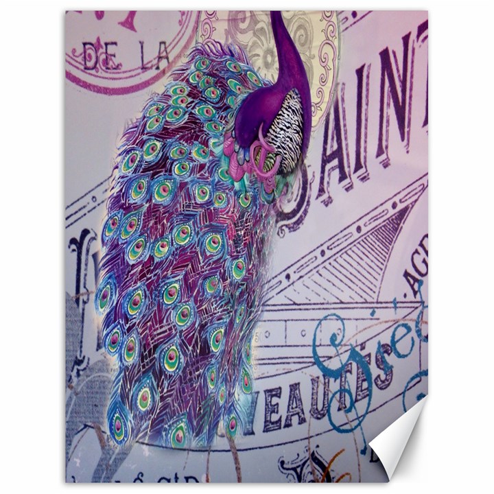 French Scripts  Purple Peacock Floral Paris Decor Canvas 18  x 24  (Unframed)