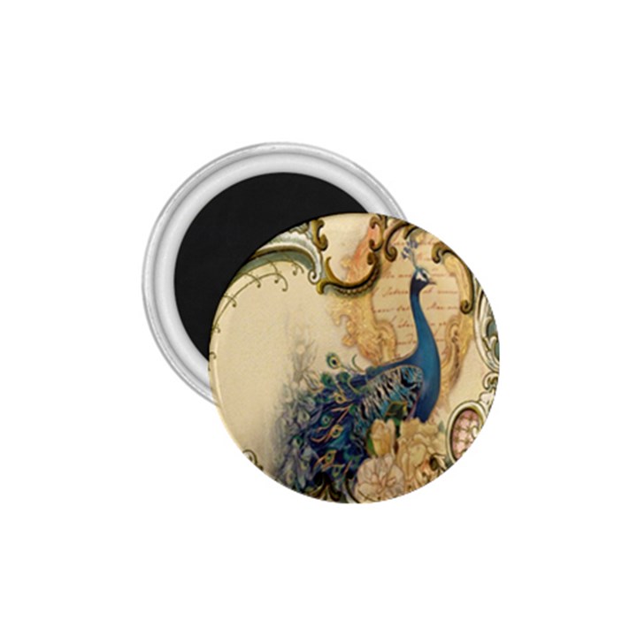 Victorian Swirls Peacock Floral Paris Decor 1.75  Button Magnet