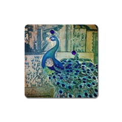 French Scripts Vintage Peacock Floral Paris Decor Magnet (square) by chicelegantboutique