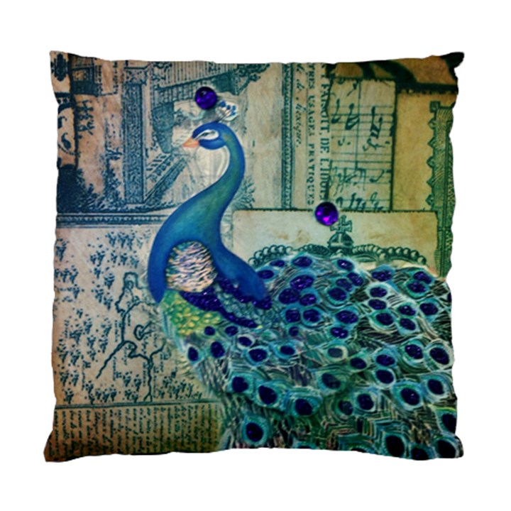 French Scripts Vintage Peacock Floral Paris Decor Cushion Case (Single Sided) 