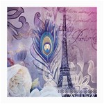 Peacock Feather White Rose Paris Eiffel Tower Glasses Cloth (Medium, Two Sided) Front