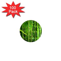 Bamboo 1  Mini Button Magnet (100 Pack)