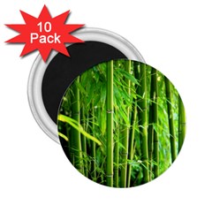 Bamboo 2 25  Button Magnet (10 Pack) by Siebenhuehner