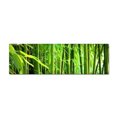 Bamboo Bumper Sticker 10 Pack by Siebenhuehner