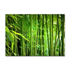 Bamboo A4 Sticker 10 Pack by Siebenhuehner