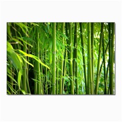 Bamboo Postcard 4 x 6  (10 Pack) by Siebenhuehner