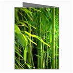 Bamboo Greeting Card Right