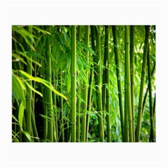 Bamboo Glasses Cloth (Small)