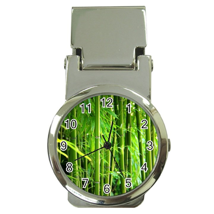 Bamboo Money Clip with Watch