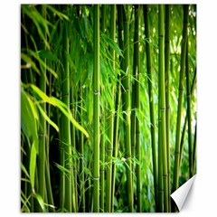 Bamboo Canvas 8  X 10  (unframed)