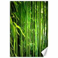 Bamboo Canvas 12  X 18  (unframed) by Siebenhuehner