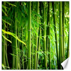 Bamboo Canvas 20  X 20  (unframed)