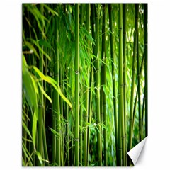 Bamboo Canvas 18  X 24  (unframed) by Siebenhuehner