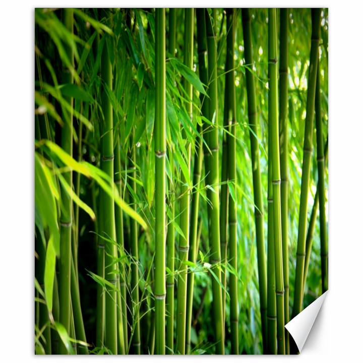 Bamboo Canvas 20  x 24  (Unframed)