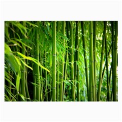 Bamboo Glasses Cloth (large, Two Sided)