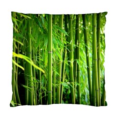 Bamboo Cushion Case (two Sided)  by Siebenhuehner