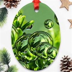 Magic Balls Oval Ornament (two Sides)