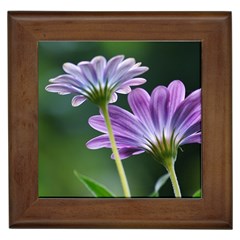 Flower Framed Ceramic Tile by Siebenhuehner