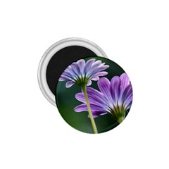 Flower 1 75  Button Magnet