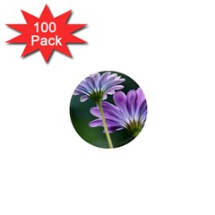 Flower 1  Mini Button Magnet (100 Pack) by Siebenhuehner