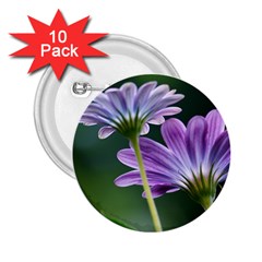 Flower 2 25  Button (10 Pack) by Siebenhuehner