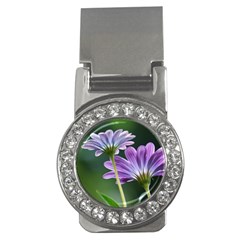 Flower Money Clip (cz) by Siebenhuehner