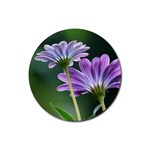 Flower Drink Coasters 4 Pack (Round) Front