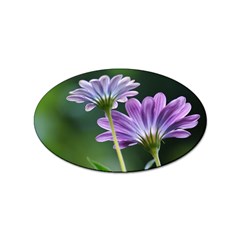 Flower Sticker (oval) by Siebenhuehner