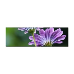 Flower Bumper Sticker 10 Pack by Siebenhuehner