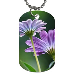 Flower Dog Tag (two-sided)  by Siebenhuehner