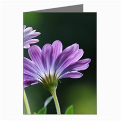 Flower Greeting Card (8 Pack) by Siebenhuehner