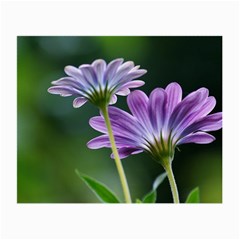 Flower Glasses Cloth (small) by Siebenhuehner