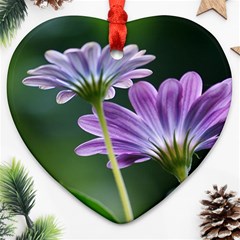 Flower Heart Ornament (two Sides) by Siebenhuehner