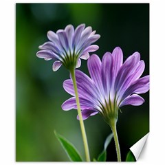 Flower Canvas 8  X 10  (unframed)