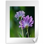 Flower Canvas 36  x 48  (Unframed) 35.26 x46.15  Canvas - 1