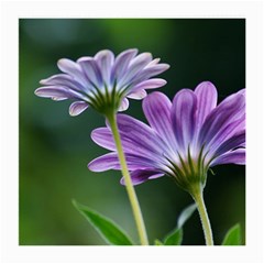 Flower Glasses Cloth (medium, Two Sided)