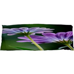 Flower Samsung Galaxy Sl I9003 Hardshell Case by Siebenhuehner