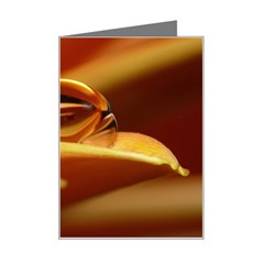 Waterdrop Mini Greeting Card