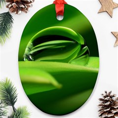 Waterdrop Oval Ornament