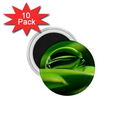 Waterdrop 1 75  Button Magnet (10 Pack)