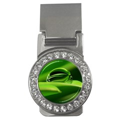 Waterdrop Money Clip (cz)