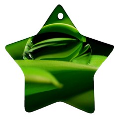 Waterdrop Star Ornament (two Sides)