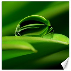 Waterdrop Canvas 20  X 20  (unframed) by Siebenhuehner