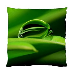 Waterdrop Cushion Case (two Sided) 