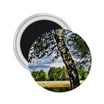 Trees 2.25  Button Magnet Front