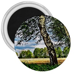 Trees 3  Button Magnet by Siebenhuehner