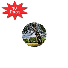 Trees 1  Mini Button Magnet (10 Pack) by Siebenhuehner