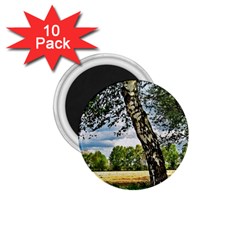 Trees 1 75  Button Magnet (10 Pack) by Siebenhuehner