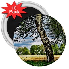 Trees 3  Button Magnet (10 Pack) by Siebenhuehner